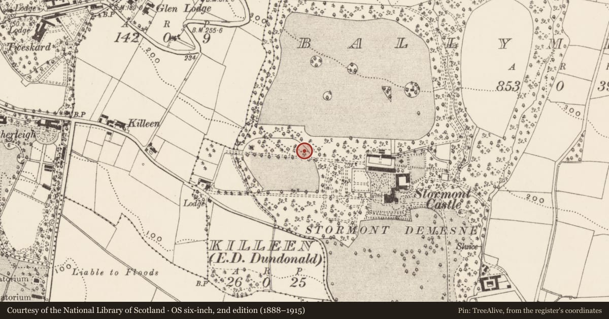 Ordnance Survey six-inch map, 2nd edition (1888–1915) covering the location of Lord Carson Memorial Statue Stormont Estate, Ballymiscaw, Belfast, with a pin at the register's coordinates