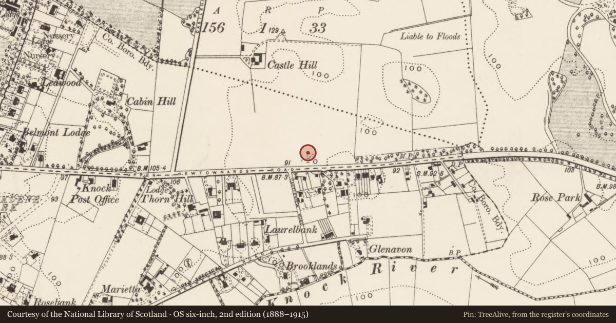Ordnance Survey six-inch map, 2nd edition (1888–1915) covering the location of Gate Lodge, Gates and Screens Stormont Estate, Ballymiscaw, Belfast, with a pin at the register's coordinates