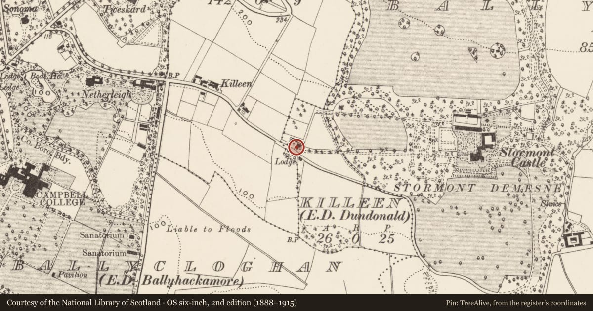 Ordnance Survey six-inch map, 2nd edition (1888–1915) covering the location of Gate Lodge, Killeen, Belfast, with a pin at the register's coordinates