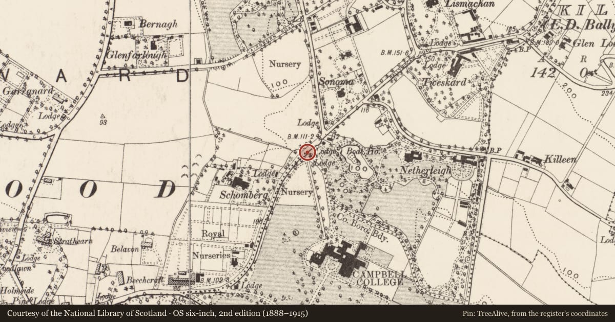 Ordnance Survey six-inch map, 2nd edition (1888–1915) covering the location of Parliamentary boundary post, Ballycloghan/Ballymaghan, Belfast, with a pin at the register's coordinates