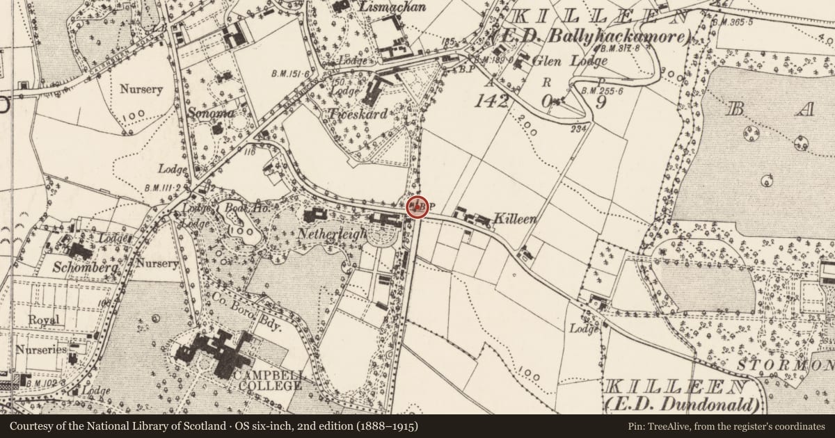 Ordnance Survey six-inch map, 2nd edition (1888–1915) covering the location of Parliamentary boundary post, Ballymaghan/Killeen, Belfast, with a pin at the register's coordinates