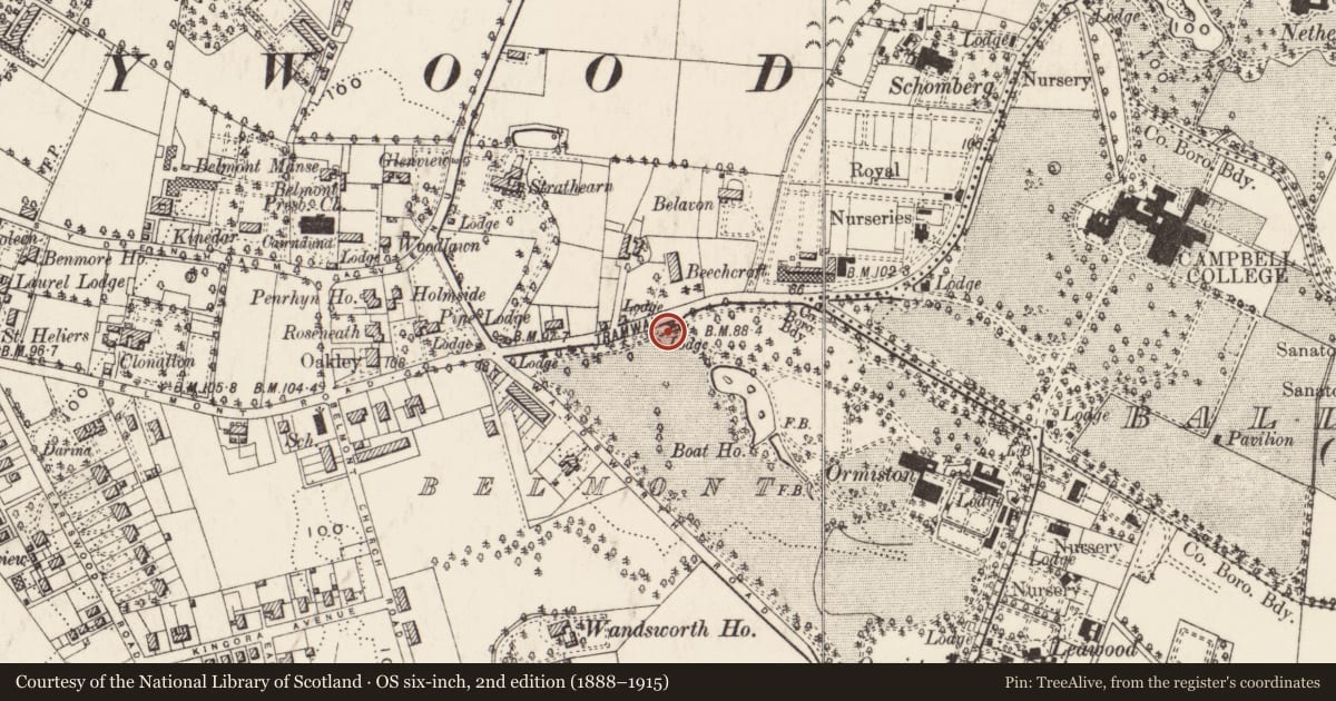 Ordnance Survey six-inch map, 2nd edition (1888–1915) covering the location of 261A Belmont Rd, Strandtown, Belfast, with a pin at the register's coordinates