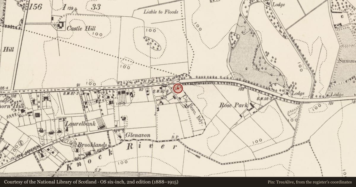 Ordnance Survey six-inch map, 2nd edition (1888–1915) covering the location of St. Molua's Church of Ireland Church, Ballycloghan, Belfast, with a pin at the register's coordinates