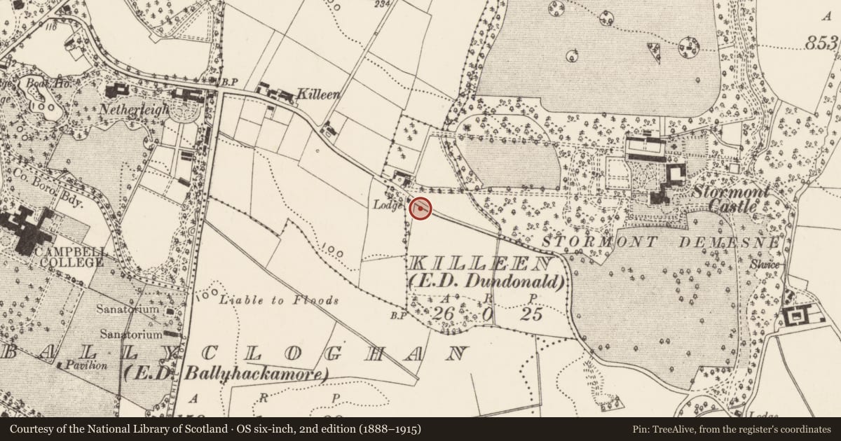 Ordnance Survey six-inch map, 2nd edition (1888–1915) covering the location of 1 Stormont Cottages, Killeen, Belfast, with a pin at the register's coordinates