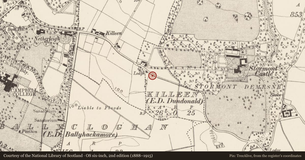 Ordnance Survey six-inch map, 2nd edition (1888–1915) covering the location of 2 Stormont Cottages, Killeen, Belfast, with a pin at the register's coordinates