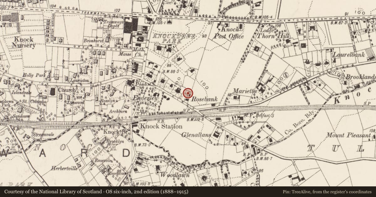 Ordnance Survey six-inch map, 2nd edition (1888–1915) covering the location of 'Rosebank', Ballycloghan, Belfast, with a pin at the register's coordinates