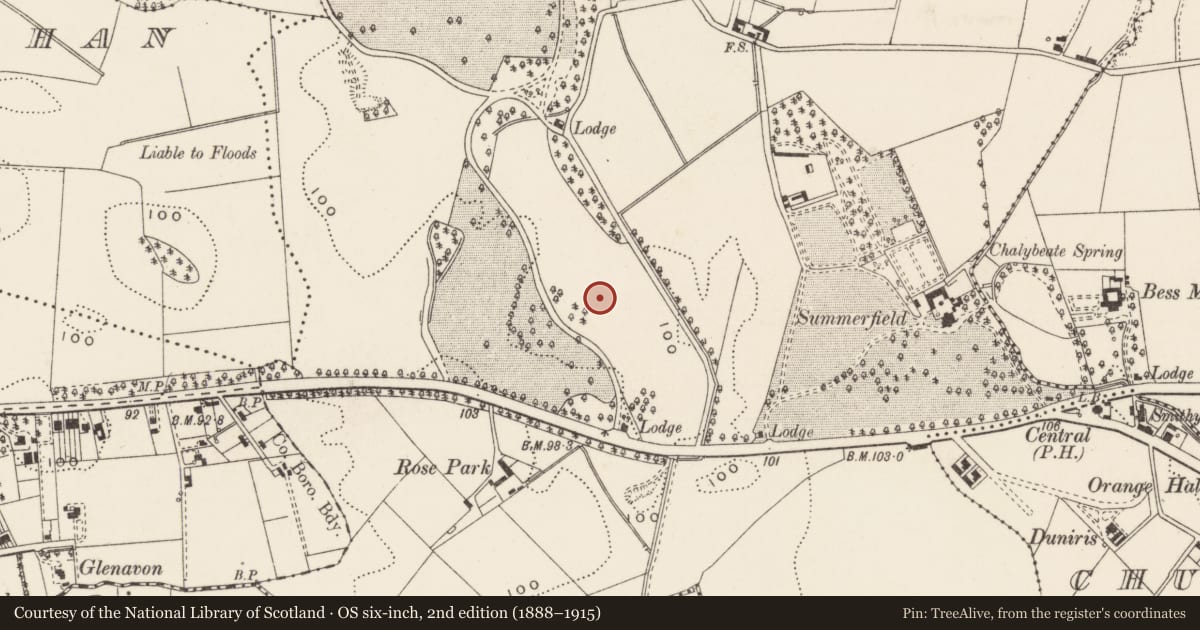 Ordnance Survey six-inch map, 2nd edition (1888–1915) covering the location of Dundonald House, Upper Newtownards Road, Belfast, BT4 3SU, Ballymiscaw, Belfast, with a pin at the register's coordinates