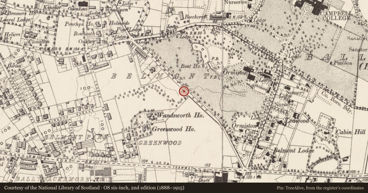 Ordnance Survey six-inch map, 2nd edition (1888–1915) covering the location of Pillar box, STRANDTOWN, Belfast, with a pin at the register's coordinates