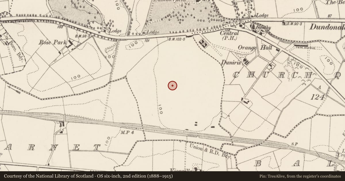 Ordnance Survey six-inch map, 2nd edition (1888–1915) covering the location of Cross of Sacrifice, Ballymiscaw, Belfast, with a pin at the register's coordinates