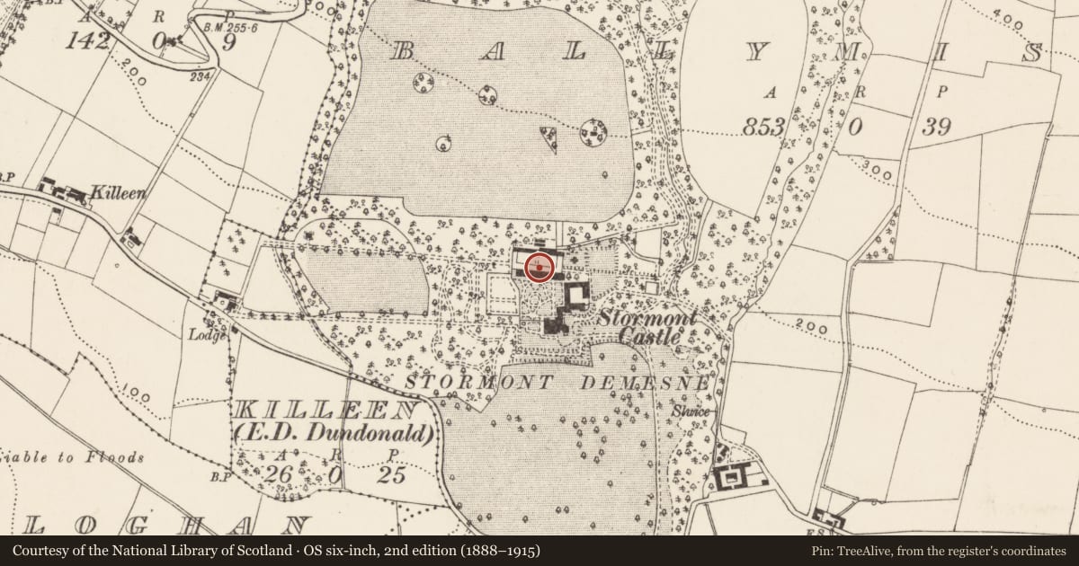 Ordnance Survey six-inch map, 2nd edition (1888–1915) covering the location of Conservatory Cottages, Ballymiscaw, Belfast, with a pin at the register's coordinates