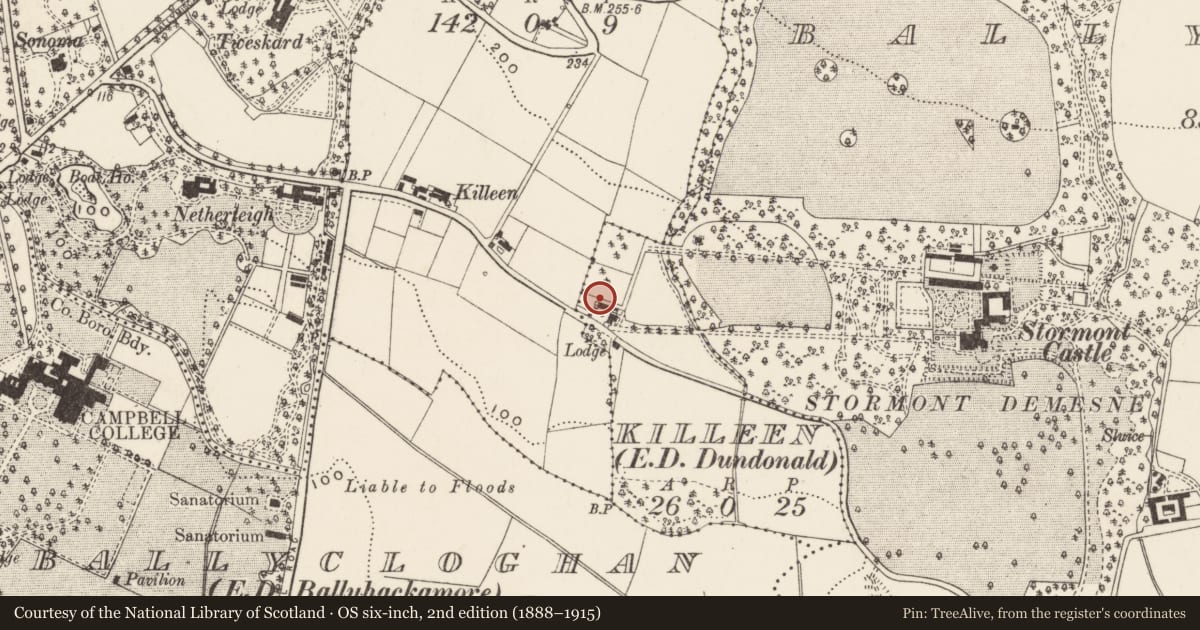 Ordnance Survey six-inch map, 2nd edition (1888–1915) covering the location of Pavilion, Killeen, Belfast, with a pin at the register's coordinates