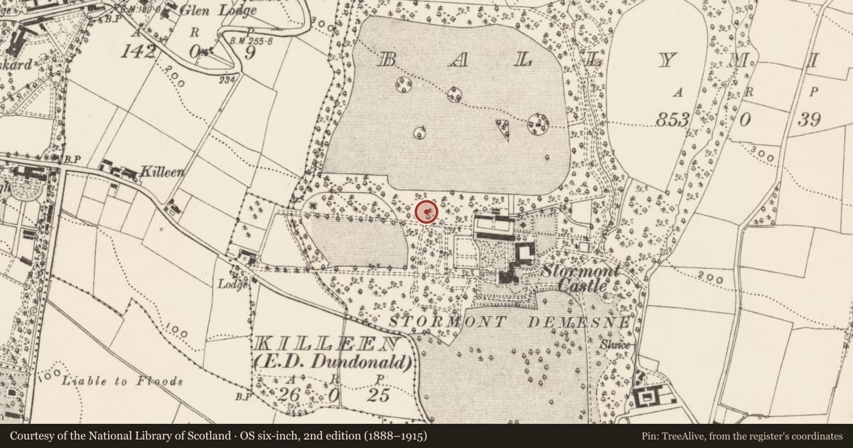 Ordnance Survey six-inch map, 2nd edition (1888–1915) covering the location of Pavilion, Ballymiscaw, Belfast, with a pin at the register's coordinates