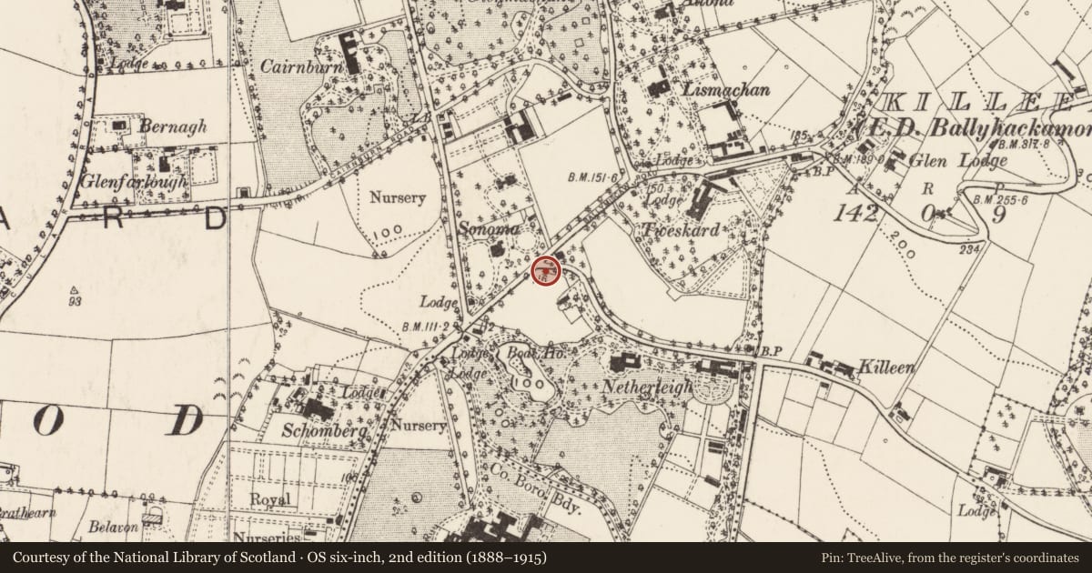 Ordnance Survey six-inch map, 2nd edition (1888–1915) covering the location of Street Sign on Massey Avenue on corner with Belmont Road, Belfast, Ballymaghan, Belfast, with a pin at the register's coordinates