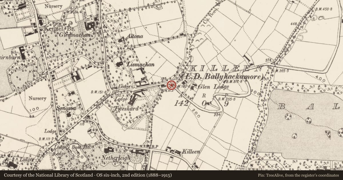 Ordnance Survey six-inch map, 2nd edition (1888–1915) covering the location of Boundary Marker, Glenside Bridge, Belmont Road, Belfast, BT4 2JX, Ballymaghan, Belfast, with a pin at the register's coordinates