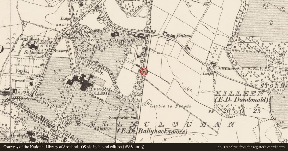 Ordnance Survey six-inch map, 2nd edition (1888–1915) covering the location of Boundary Marker, Ballymaghan, Belfast, with a pin at the register's coordinates