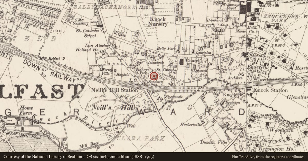 Ordnance Survey six-inch map, 2nd edition (1888–1915) covering the location of 84C Sandown Road, Ballycloghan, Belfast, with a pin at the register's coordinates