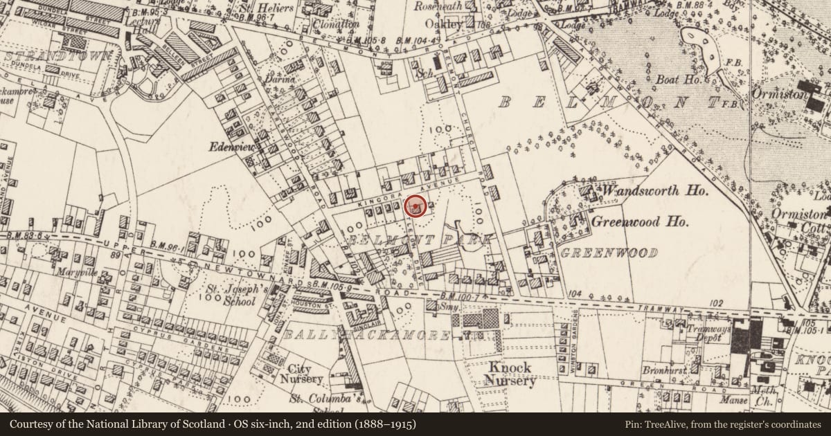 Ordnance Survey six-inch map, 2nd edition (1888–1915) covering the location of White Lodge, Strandtown, Belfast, with a pin at the register's coordinates