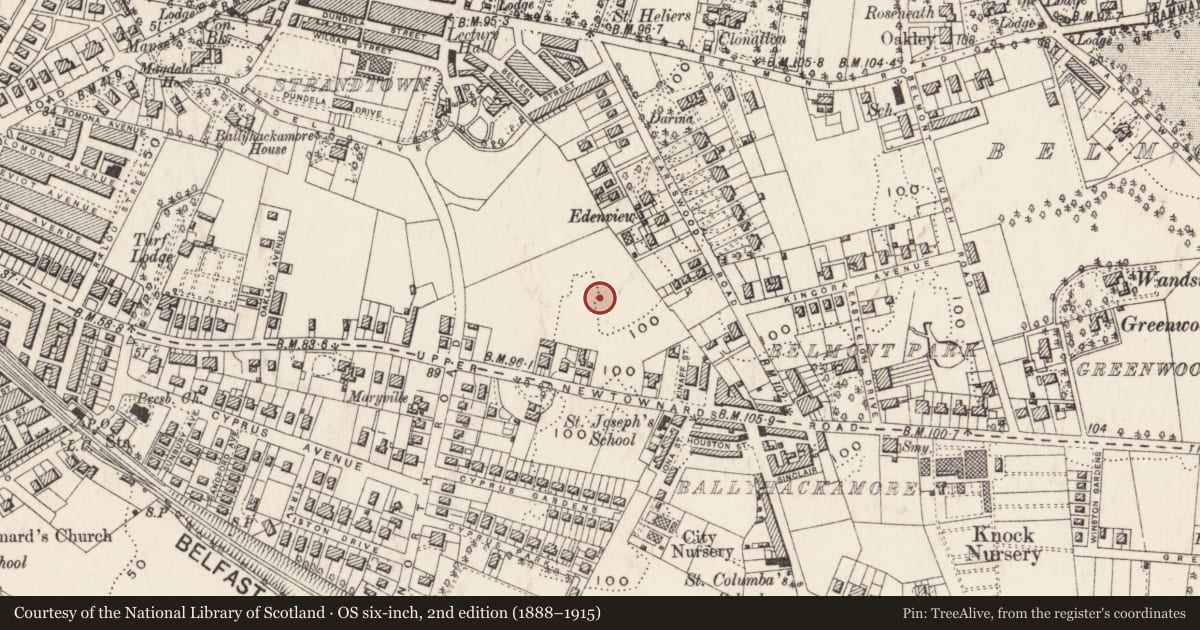 Ordnance Survey six-inch map, 2nd edition (1888–1915) covering the location of Strandtown Primary School, Belfast, with a pin at the register's coordinates