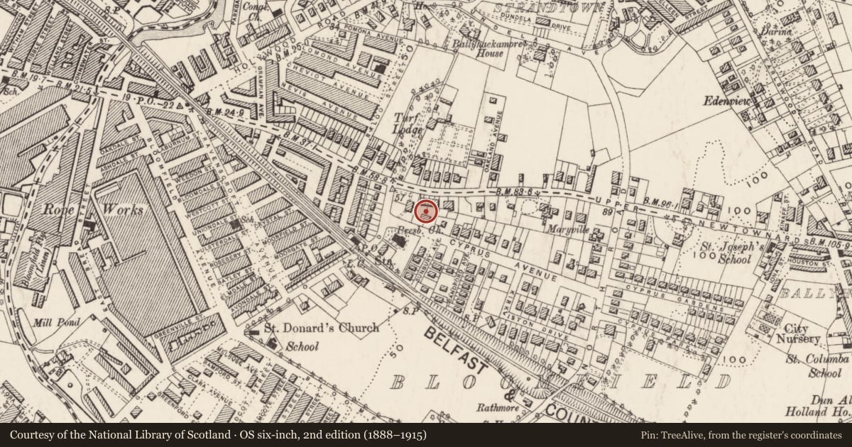 Ordnance Survey six-inch map, 2nd edition (1888–1915) covering the location of 4 Cyprus Avenue, Belfast, Co Antrim BT5 5NT, Ballyhackamore, Belfast, with a pin at the register's coordinates