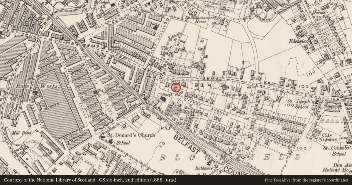 Ordnance Survey six-inch map, 2nd edition (1888–1915) covering the location of 6 Cyprus Avenue, Ballyhackamore, Belfast, with a pin at the register's coordinates