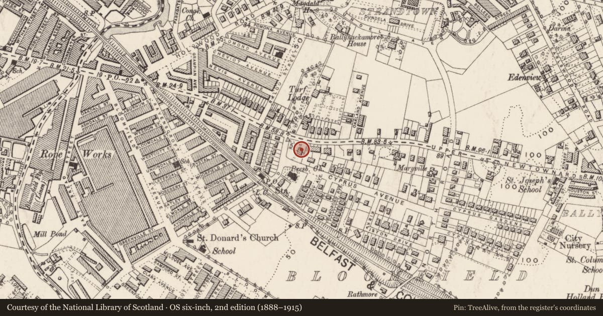 Ordnance Survey six-inch map, 2nd edition (1888–1915) covering the location of 2 Cyprus Avenue, Ballyhackamore, Belfast, with a pin at the register's coordinates