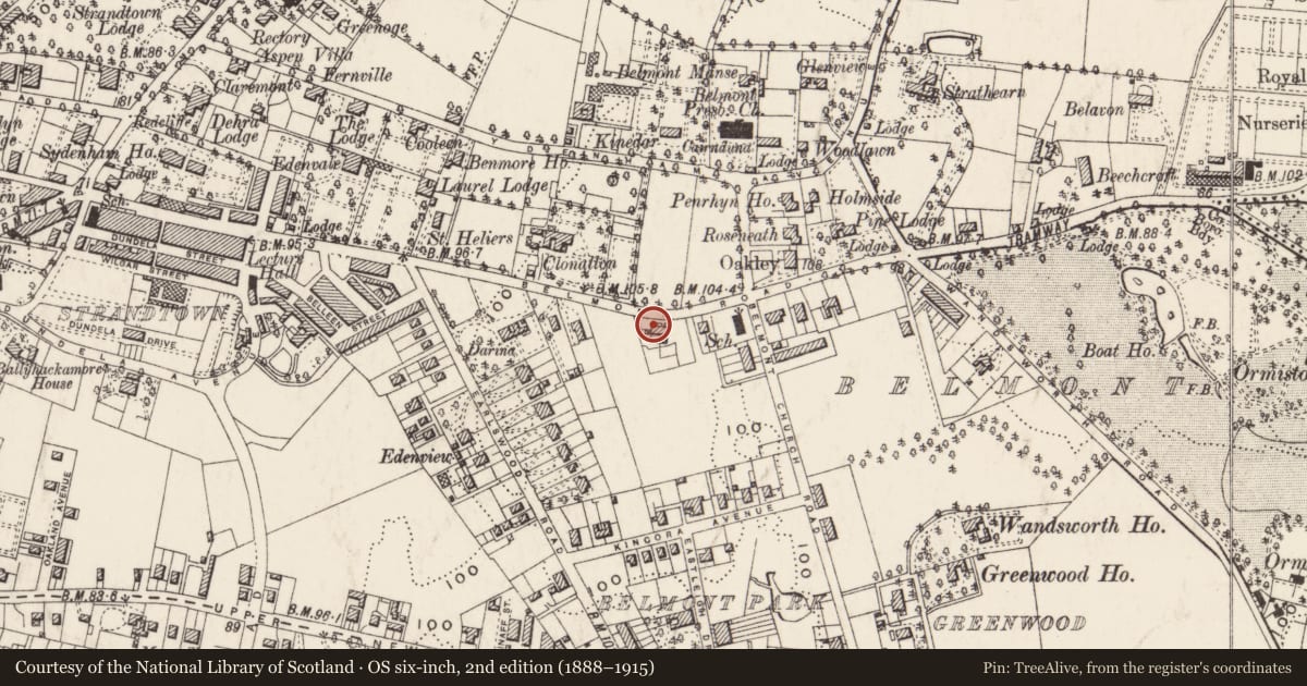 Ordnance Survey six-inch map, 2nd edition (1888–1915) covering the location of 207 Belmont Road, Strandtown, Belfast, with a pin at the register's coordinates
