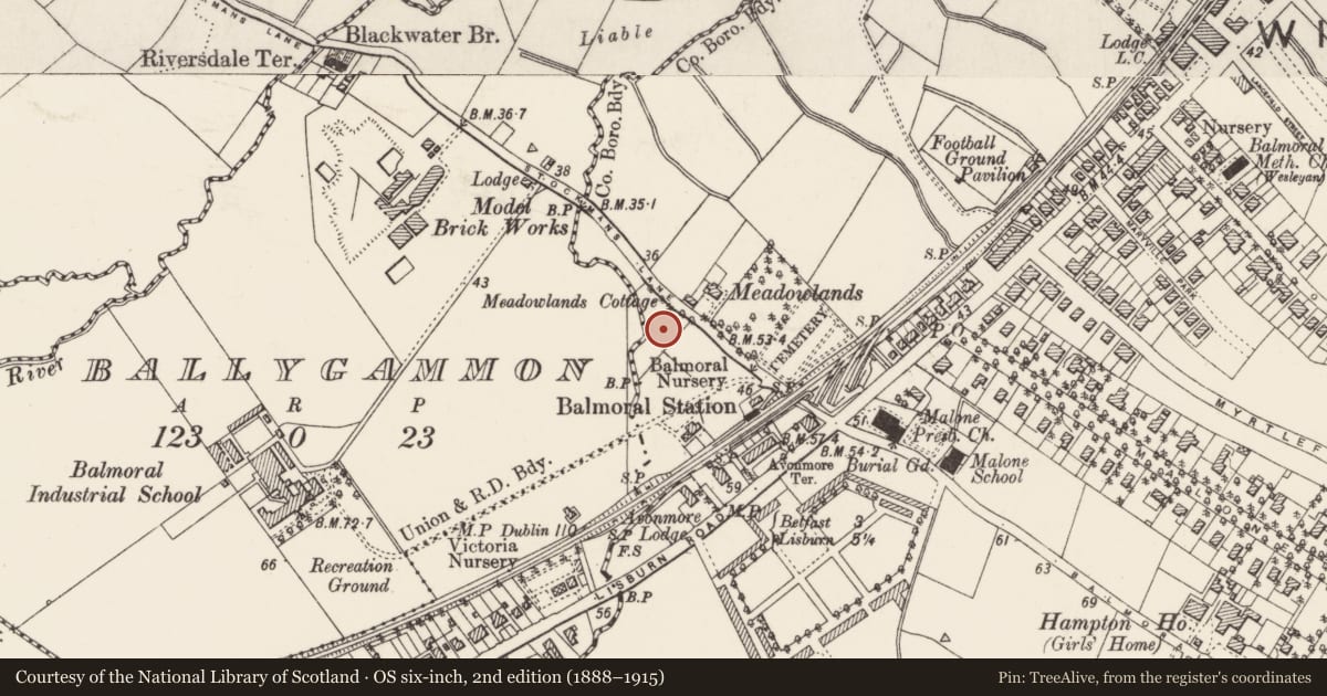 Ordnance Survey six-inch map, 2nd edition (1888–1915) covering the location of Stone Pillar, Malone Upper, Belfast, with a pin at the register's coordinates