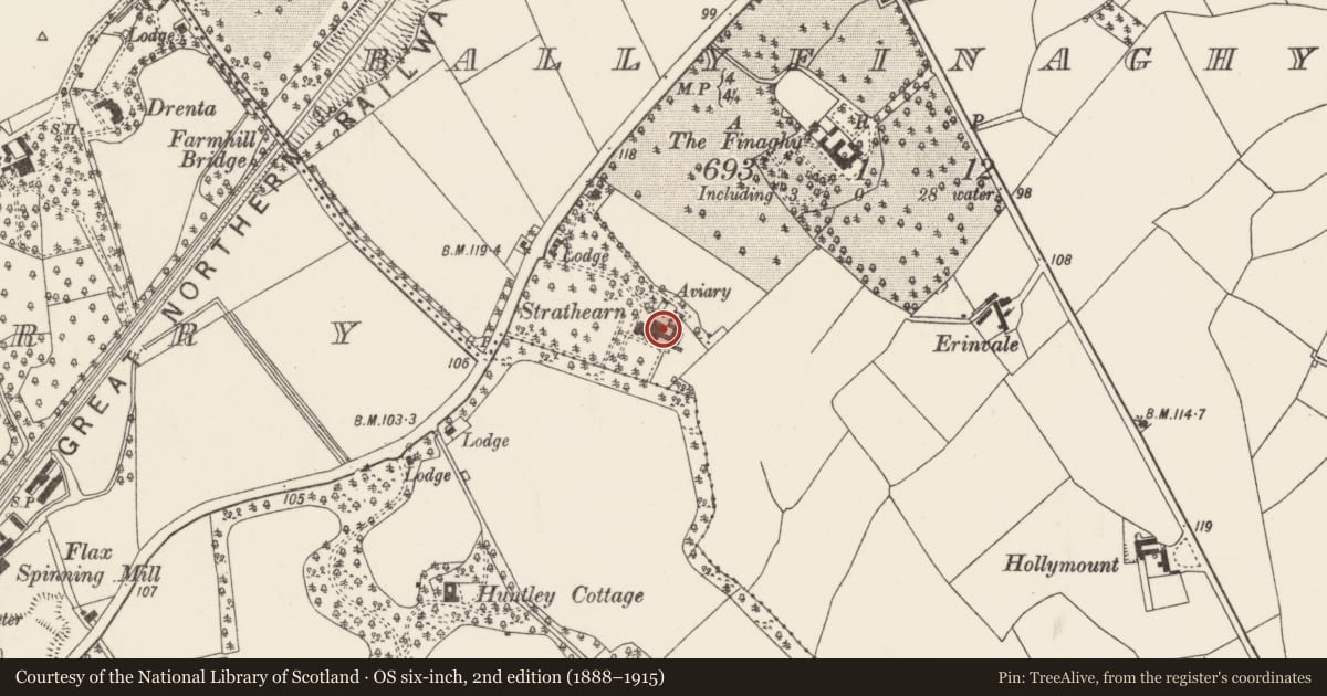 Ordnance Survey six-inch map, 2nd edition (1888–1915) covering the location of Colinmore, Ballyfinaghy, Belfast, with a pin at the register's coordinates