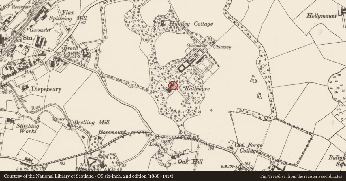 Ordnance Survey six-inch map, 2nd edition (1888–1915) covering the location of Rathmore Grammar School, Dunmurry, Belfast, with a pin at the register's coordinates