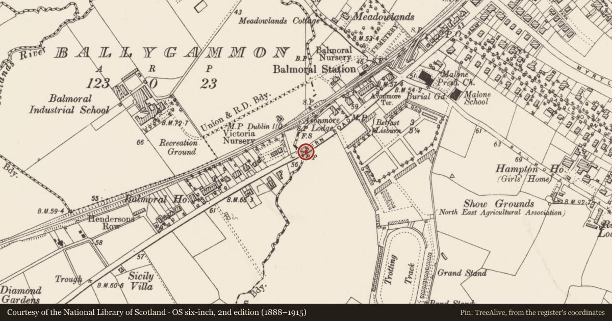 Ordnance Survey six-inch map, 2nd edition (1888–1915) covering the location of Parliamentary boundary post, Ballyfinaghy/Malone, Belfast, with a pin at the register's coordinates