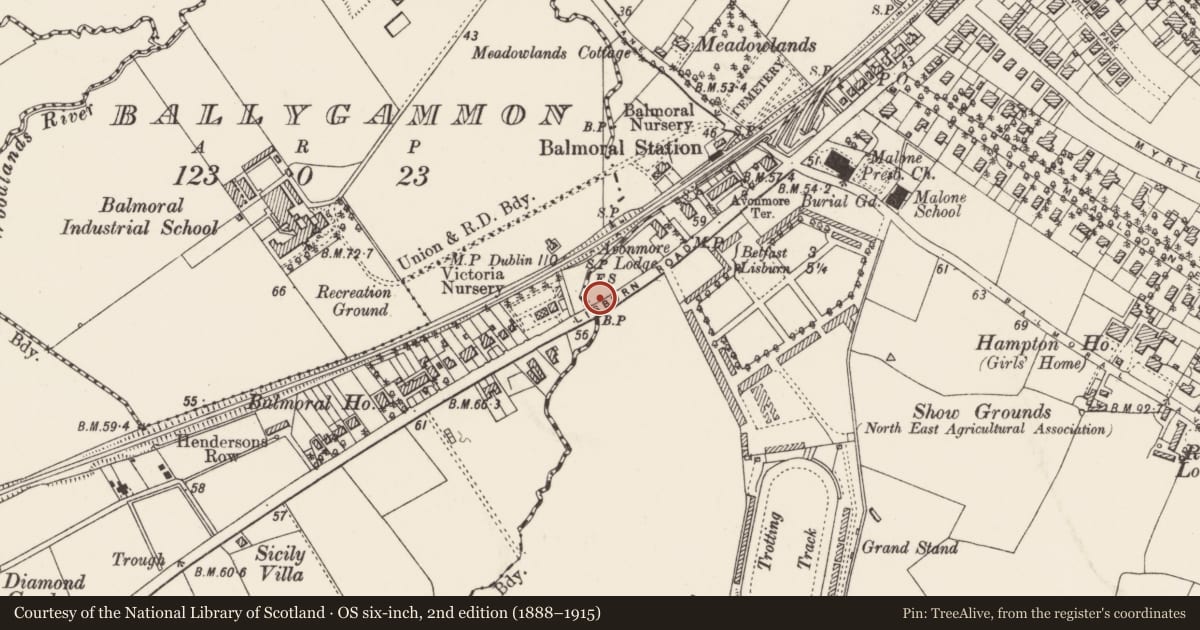 Ordnance Survey six-inch map, 2nd edition (1888–1915) covering the location of Parliamentary boundary post, Ballyfinaghy/Malone, Belfast, with a pin at the register's coordinates