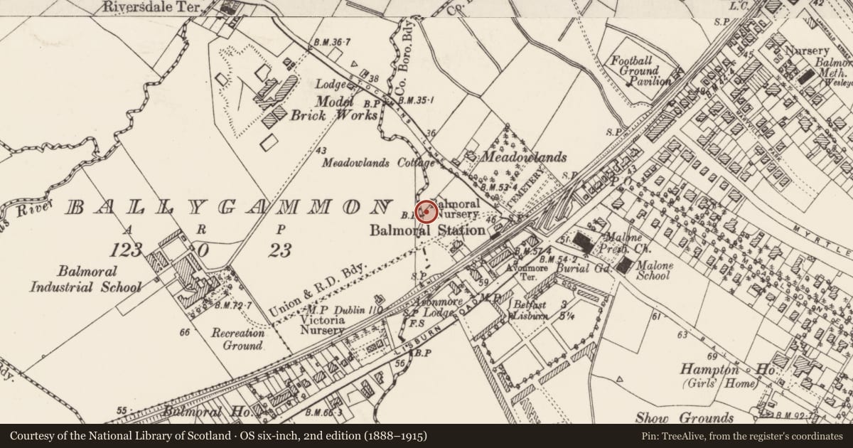 Ordnance Survey six-inch map, 2nd edition (1888–1915) covering the location of Parliamentary boundary post, Ballygammon/Malone, Belfast, with a pin at the register's coordinates