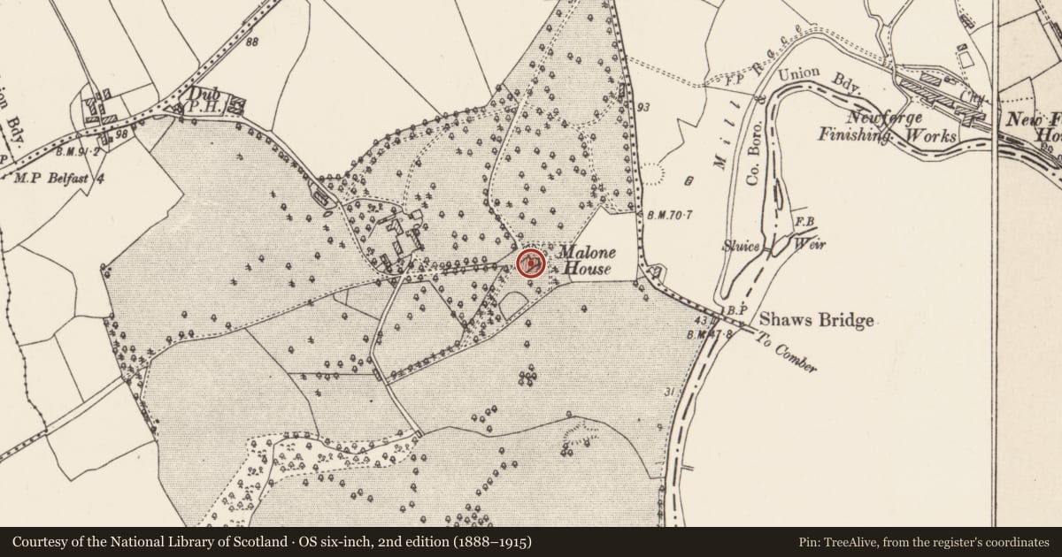 Ordnance Survey six-inch map, 2nd edition (1888–1915) covering the location of Malone House, Belfast, with a pin at the register's coordinates