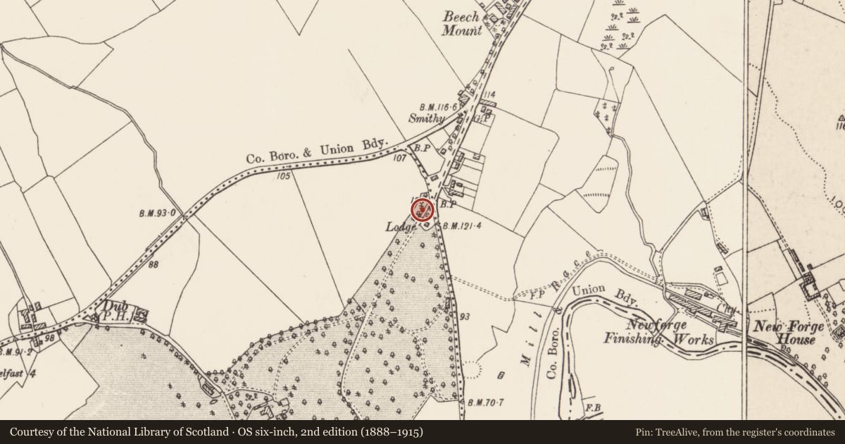 Ordnance Survey six-inch map, 2nd edition (1888–1915) covering the location of Gate Lodge Of Malone House, Belfast, with a pin at the register's coordinates