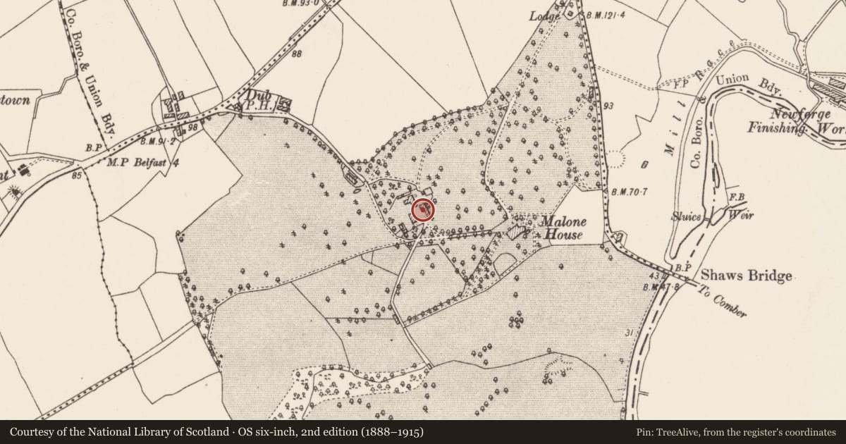 Ordnance Survey six-inch map, 2nd edition (1888–1915) covering the location of Barnett's Stableyard, Upper Malone, Belfast, with a pin at the register's coordinates