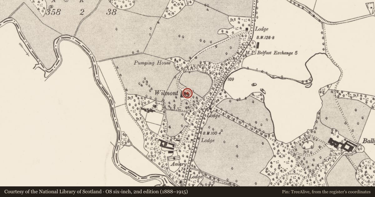 Ordnance Survey six-inch map, 2nd edition (1888–1915) covering the location of WILMONT, Belfast, with a pin at the register's coordinates