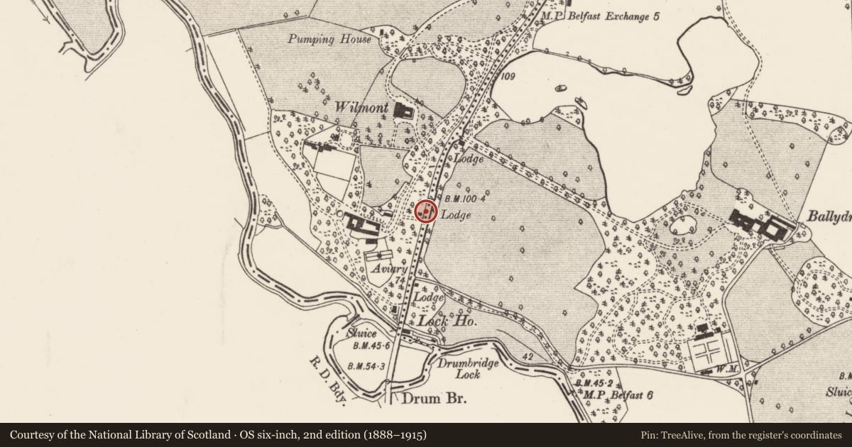 Ordnance Survey six-inch map, 2nd edition (1888–1915) covering the location of Gate Lodge Of Wilmont, Belfast, with a pin at the register's coordinates