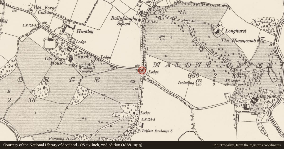 Ordnance Survey six-inch map, 2nd edition (1888–1915) covering the location of Wilmont Cottage, Belfast, with a pin at the register's coordinates