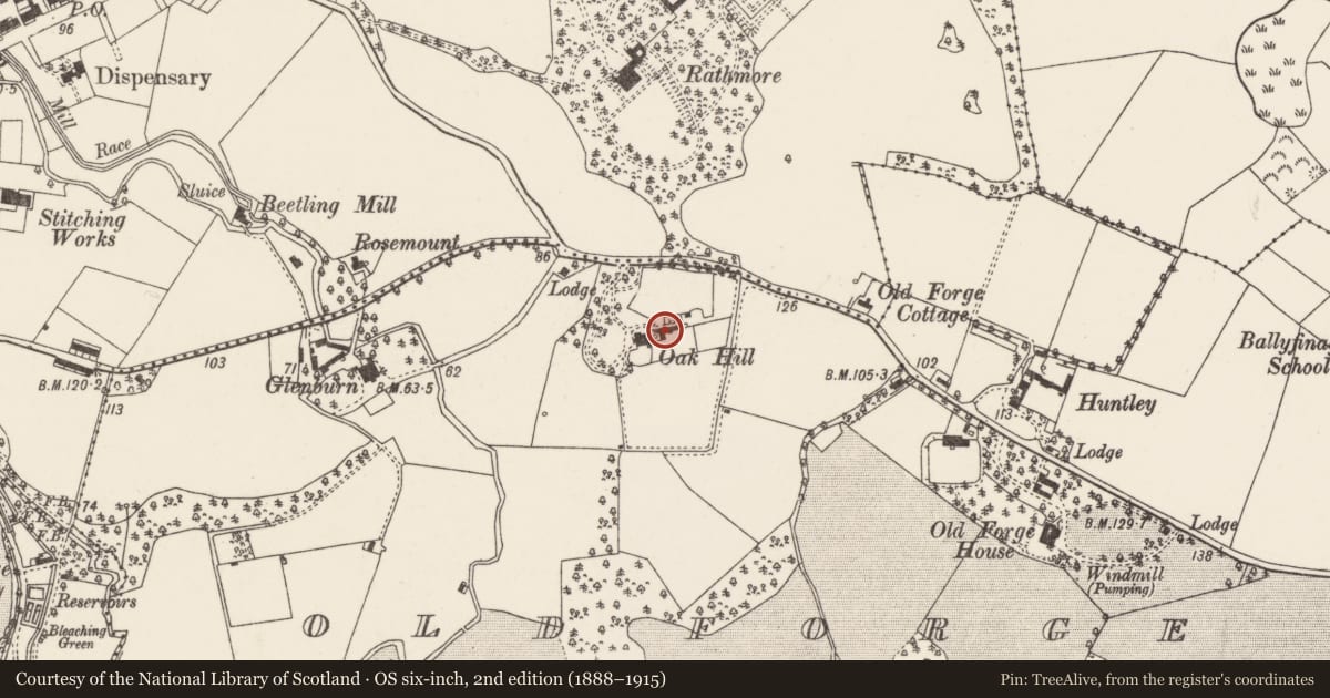 Ordnance Survey six-inch map, 2nd edition (1888–1915) covering the location of OAKHILL, Belfast, with a pin at the register's coordinates