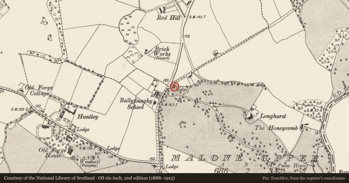 Ordnance Survey six-inch map, 2nd edition (1888–1915) covering the location of Gate Lodge At Longhurst, Belfast, with a pin at the register's coordinates