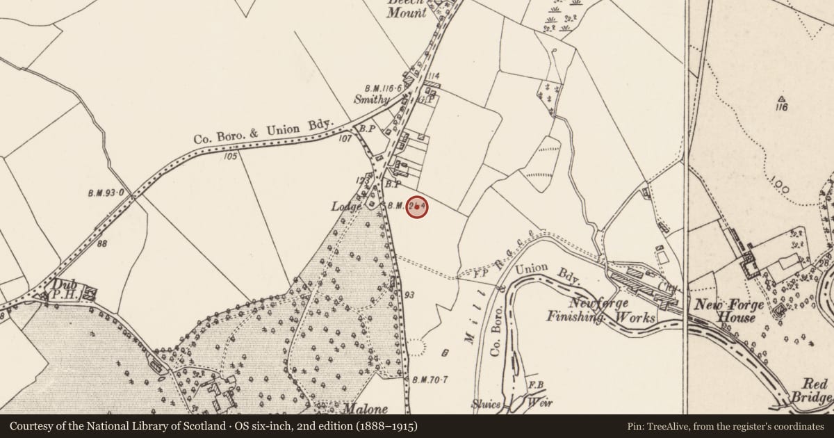 Ordnance Survey six-inch map, 2nd edition (1888–1915) covering the location of The Weir, Belfast, with a pin at the register's coordinates