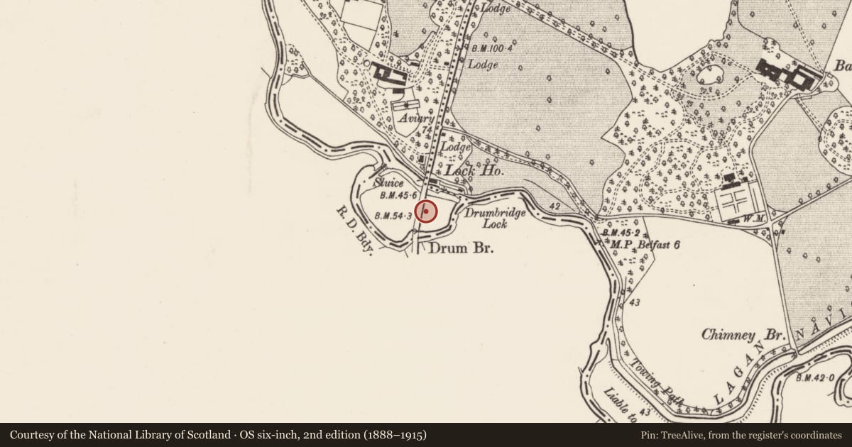 Ordnance Survey six-inch map, 2nd edition (1888–1915) covering the location of Drum Bridge And Canal Bridge, Belfast, with a pin at the register's coordinates