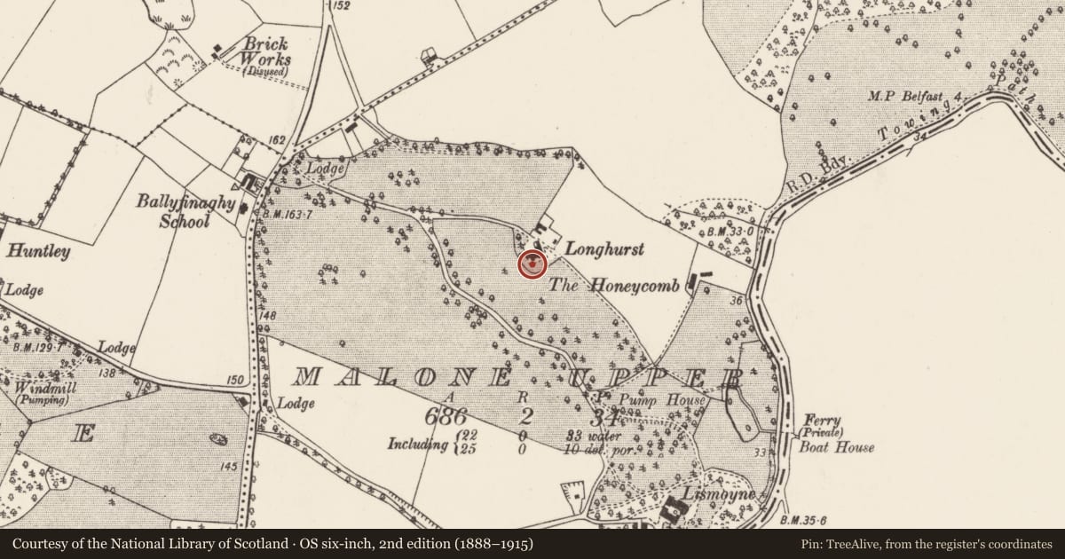 Ordnance Survey six-inch map, 2nd edition (1888–1915) covering the location of Longhurst, Malone Upper, with a pin at the register's coordinates