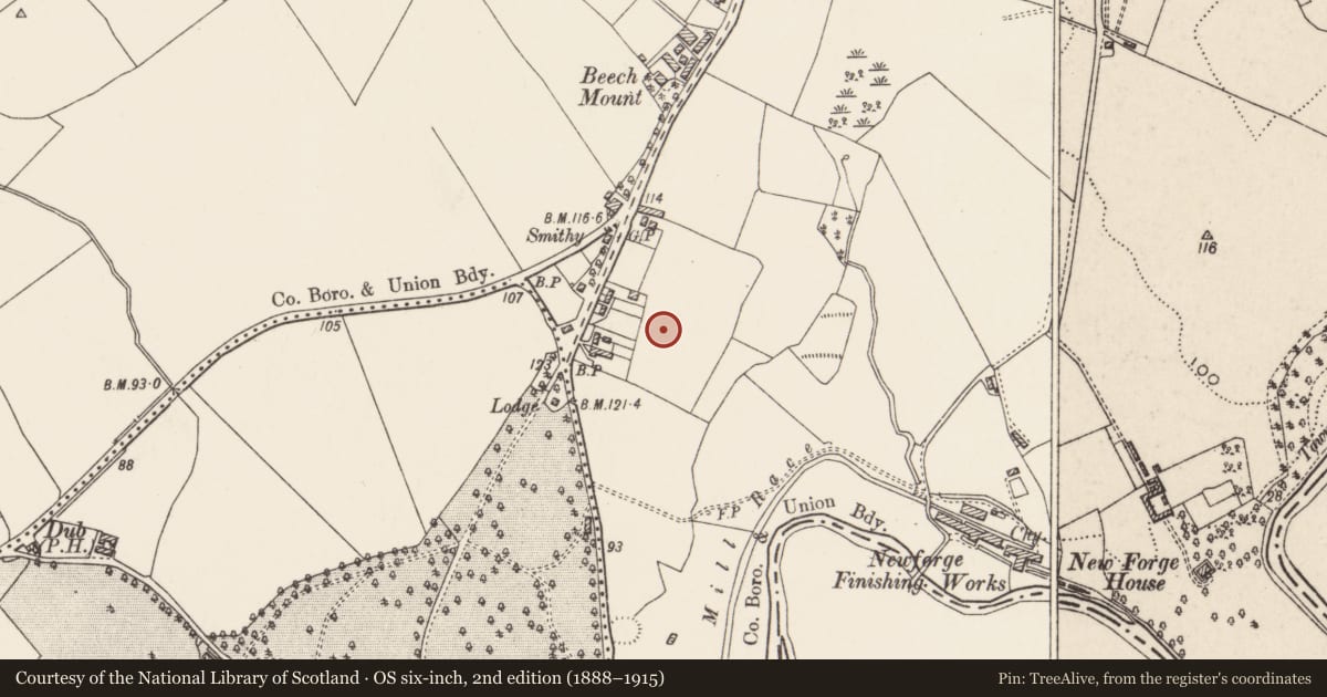 Ordnance Survey six-inch map, 2nd edition (1888–1915) covering the location of Tudor Hill, Belfast, with a pin at the register's coordinates