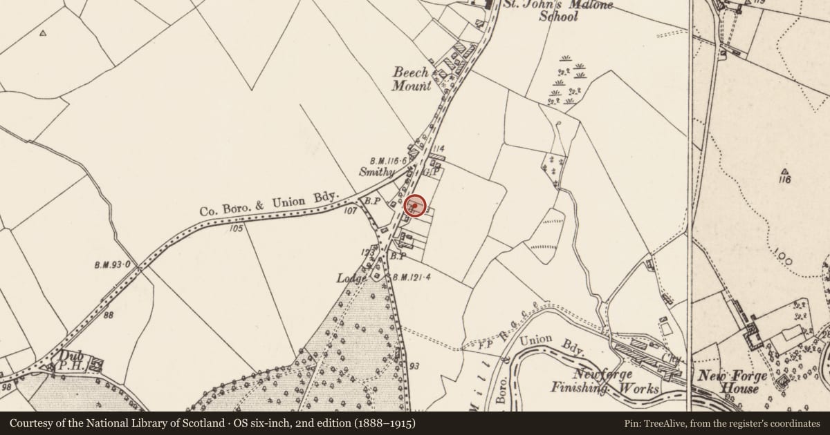 Ordnance Survey six-inch map, 2nd edition (1888–1915) covering the location of Gate Lodge, Belfast, with a pin at the register's coordinates