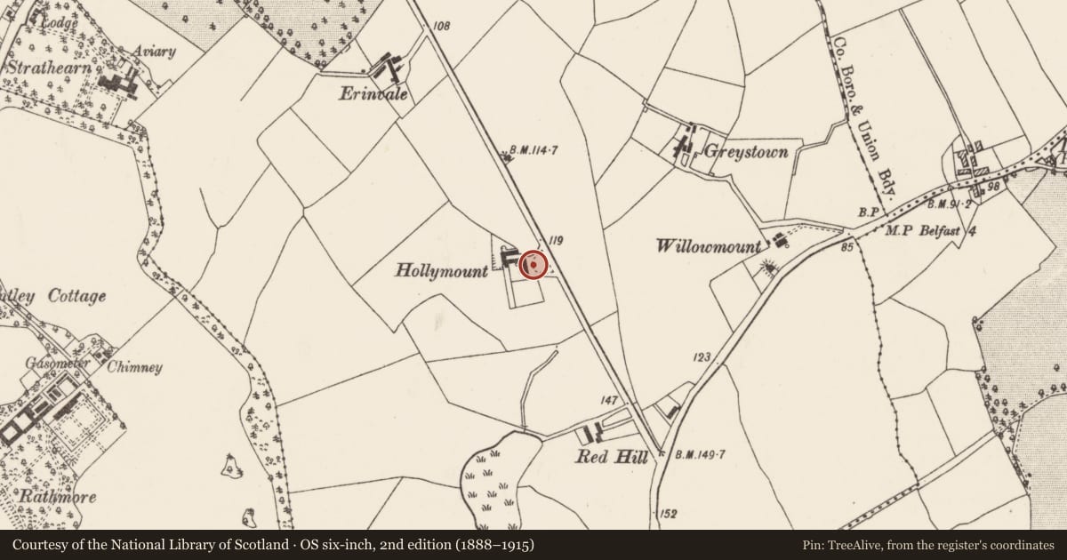 Ordnance Survey six-inch map, 2nd edition (1888–1915) covering the location of Hollymount Finaghy Road South Belfast BT10 0HA ** See General Comments **, Ballyfinaghy, Belfast, with a pin at the register's coordinates