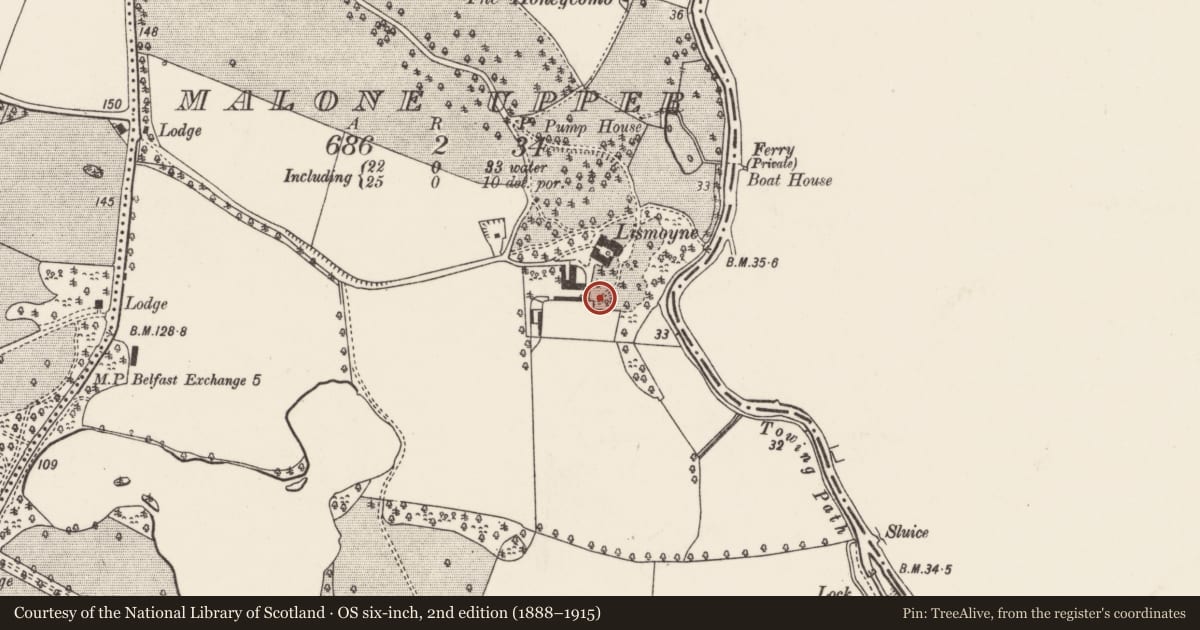Ordnance Survey six-inch map, 2nd edition (1888–1915) covering the location of 226 Upper Malone Road Belfast BT17 9LD ** See General Comments **, Malone Upper, Belfast, with a pin at the register's coordinates