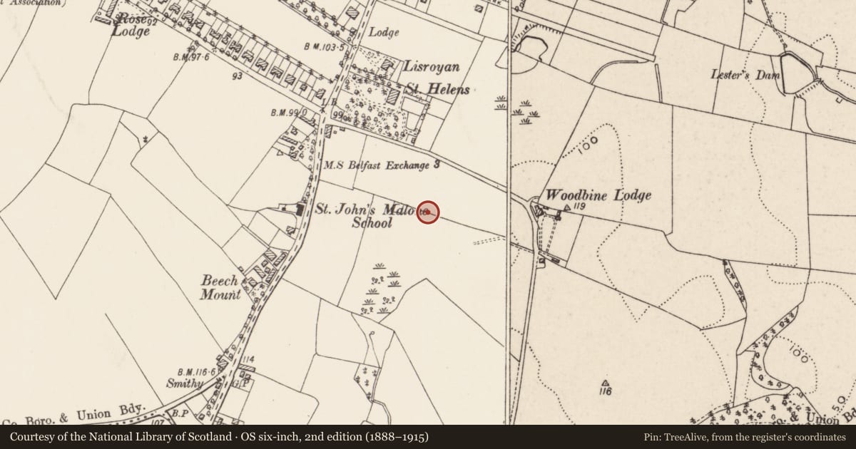 Ordnance Survey six-inch map, 2nd edition (1888–1915) covering the location of Piney Ridge, Belfast, with a pin at the register's coordinates