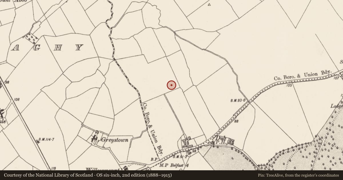 Ordnance Survey six-inch map, 2nd edition (1888–1915) covering the location of Taughmonagh Church Hall Malwood Park Belfast ** See General Comments **, Malone Upper, Belfast, with a pin at the register's coordinates
