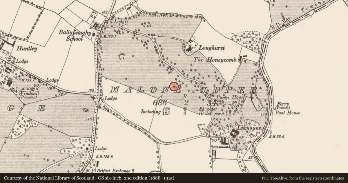 Ordnance Survey six-inch map, 2nd edition (1888–1915) covering the location of Ardleevan, Malone Upper, with a pin at the register's coordinates